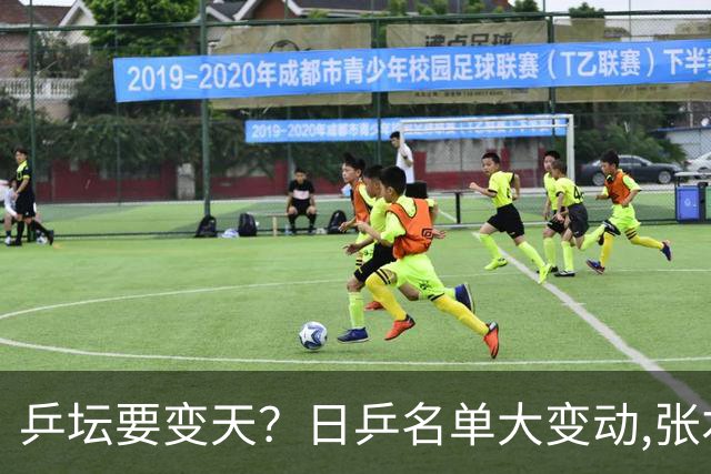 乒坛要变天?日乒名单大变动,张本智和成"弃子",步步直攻国乒软肋
